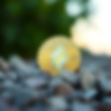 Investor Sentiments Towards Elon 1 Coin Visual representation of investor sentiments towards Elon 1 Coin