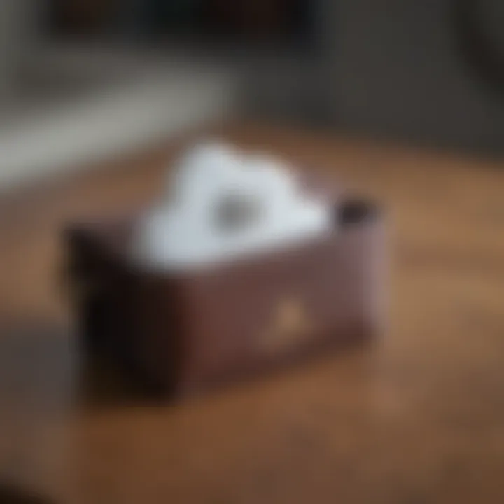 Representation of custodial wallets with a cloud symbol
