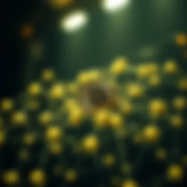 Decentralized network structure showcasing node trading mechanics