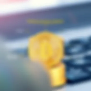 Infographic on factors influencing Rainbow Currency valuation