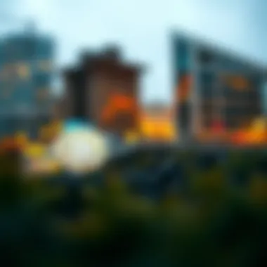 Historical examples of cryptocurrency market trends