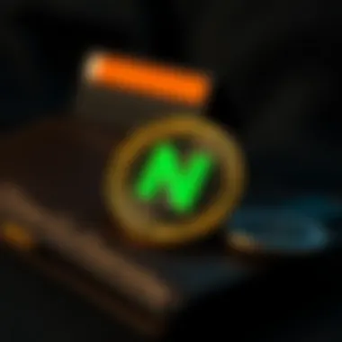 A visual guide to different wallet options for storing Neo