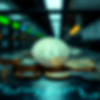 Investment strategies in cryptocurrency