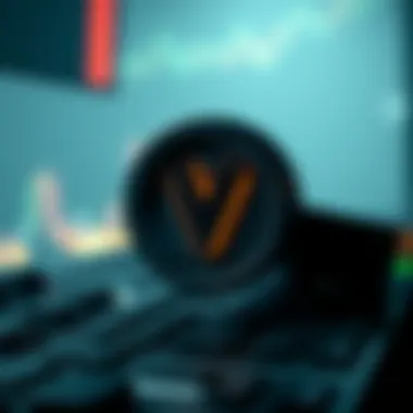 Risks Associated with VLEO Investments