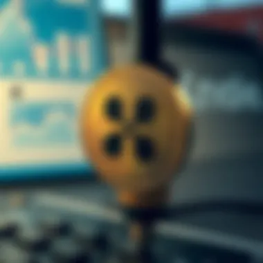 Security Considerations When Buying Ripple