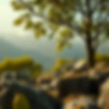 Nature's Harmony for Mental Clarity A serene landscape depicting the harmony of nature and mental tranquility