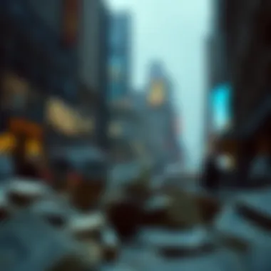 Understanding the Impact of the Financial Crisis Impact of the financial crisis