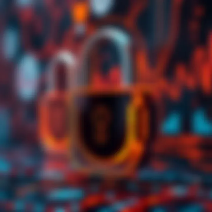 Security Measures for E-Currency Wallets A secure digital lock symbolizing e-currency wallet protection